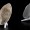 The Real Cutting Edge: Getting a Handle on Stone Age Tools with Stratasys 3D Printing